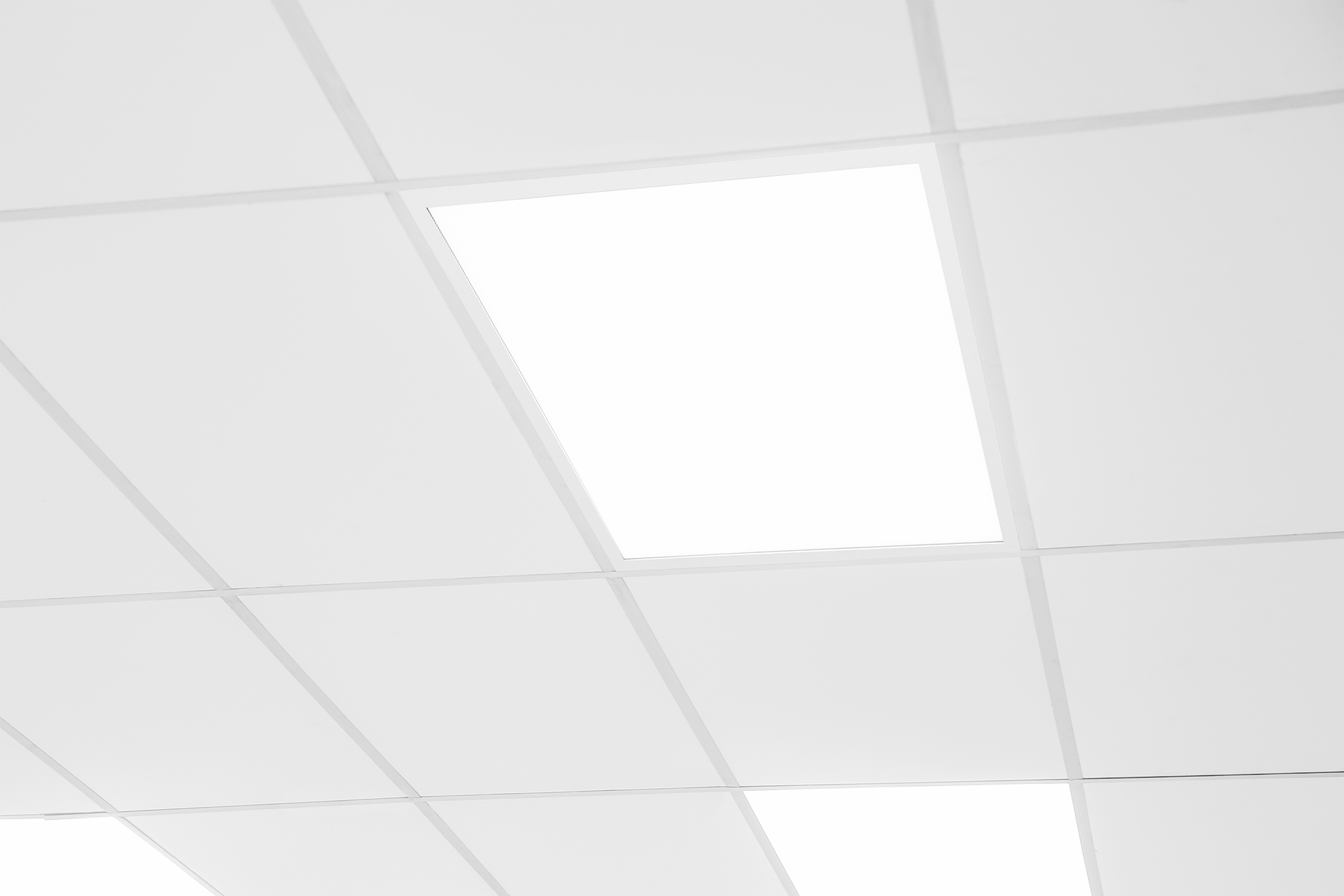 OFFICE PANEL