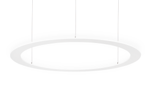 SILVY OVAL